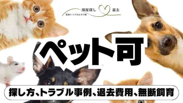 ペット可賃貸物件の室内写真。ソファでくつろぐ犬